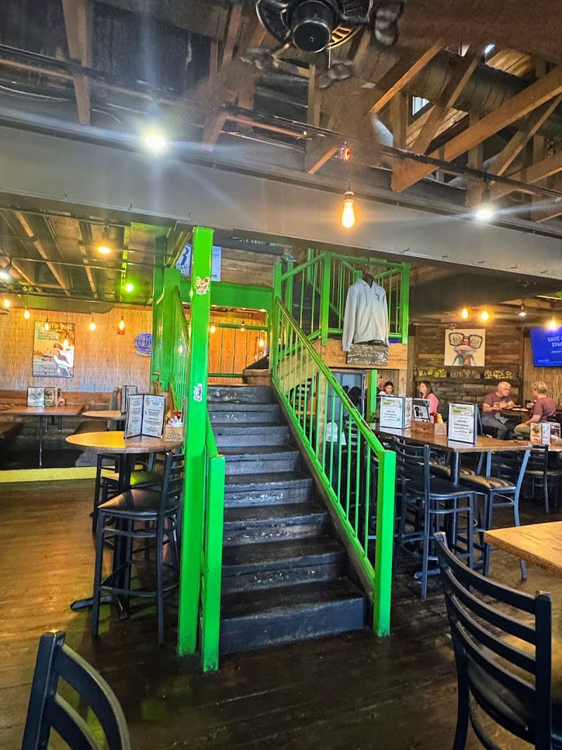 Crazy Craig's Treehouse photo 6