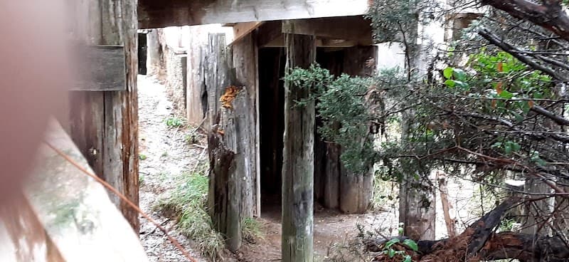 Ozark Paint Ball photo 5