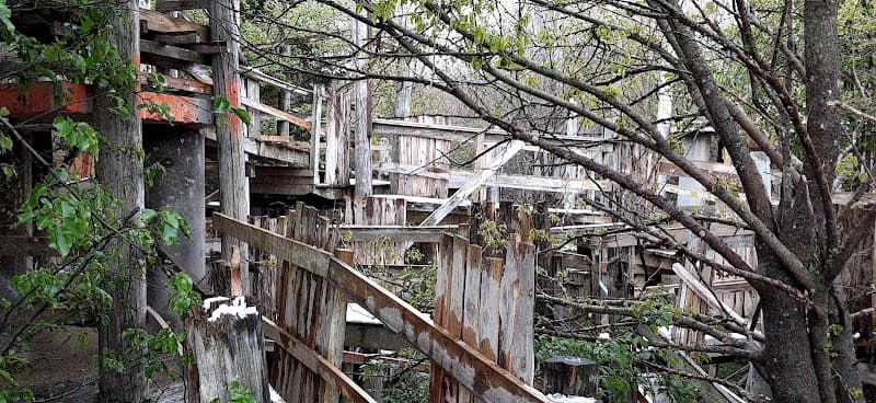 Ozark Paint Ball photo 6