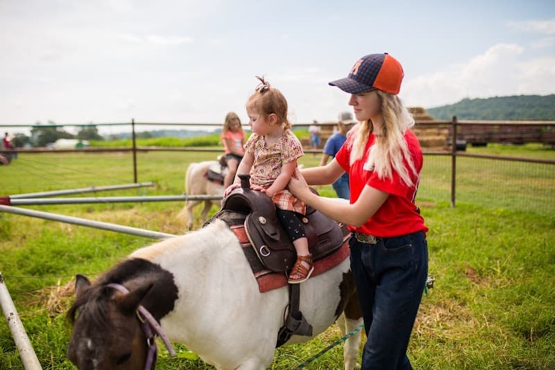 Farmland Adventures photo 3