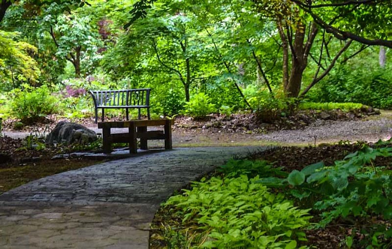 Lendonwood Gardens photo 6