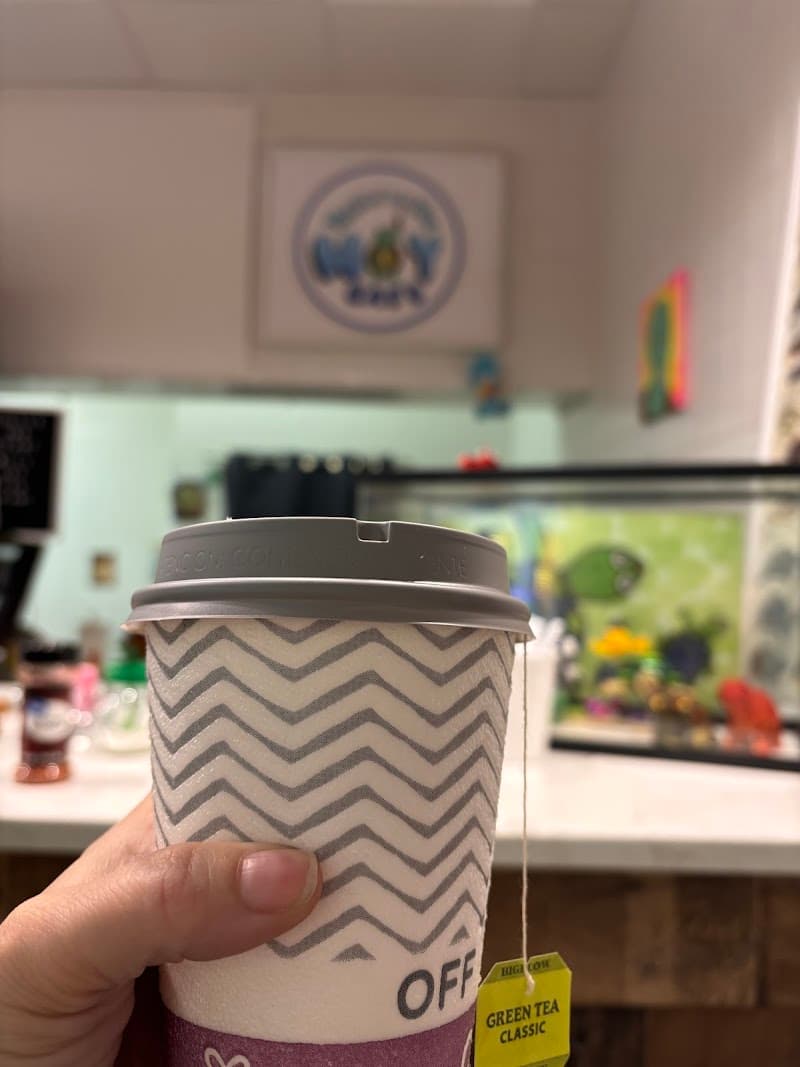 Turtle in the Way cafe photo 3