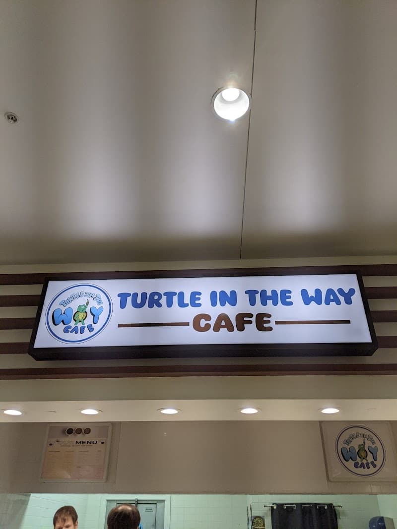 Turtle in the Way cafe photo 4