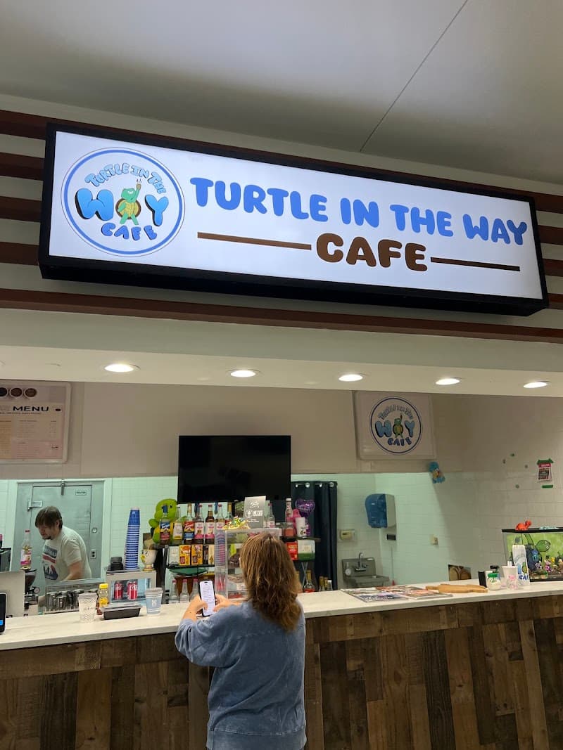 Turtle in the Way cafe photo 5