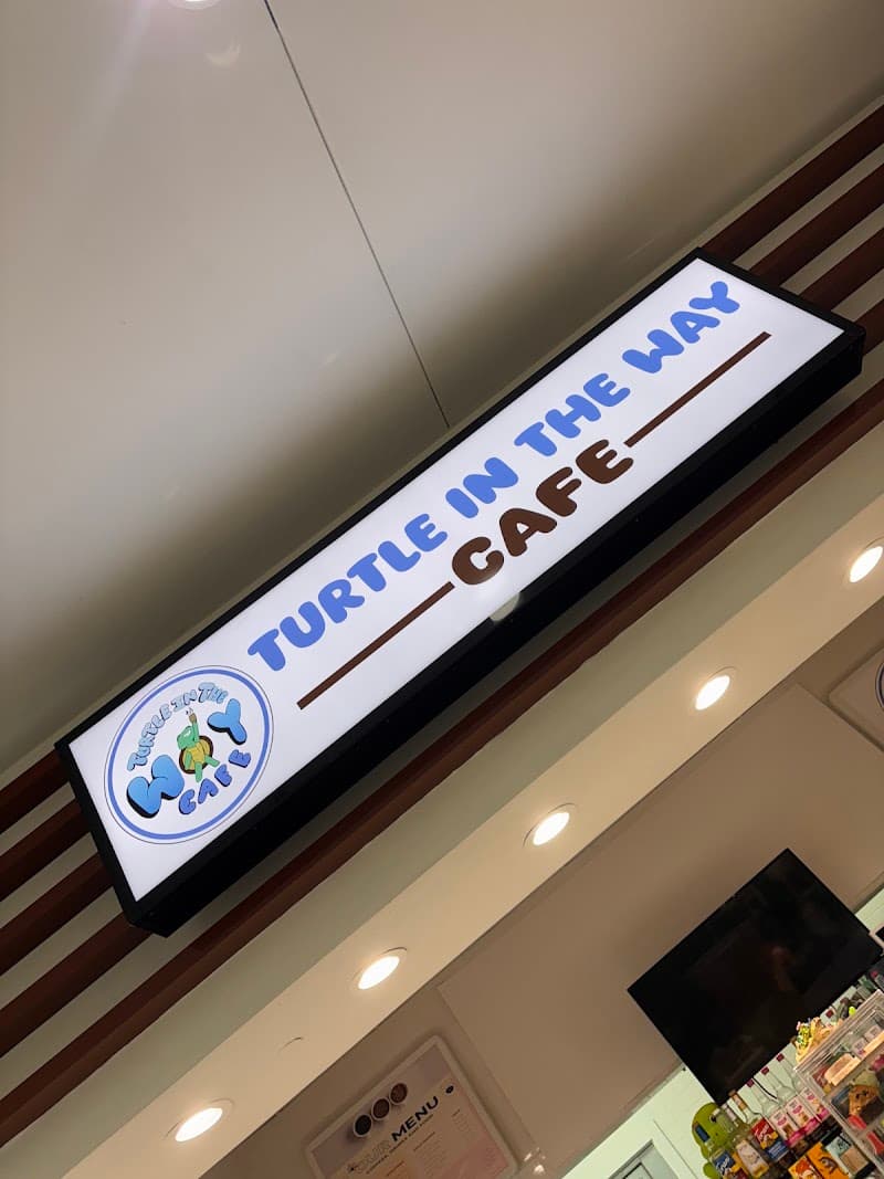 Turtle in the Way cafe photo 6