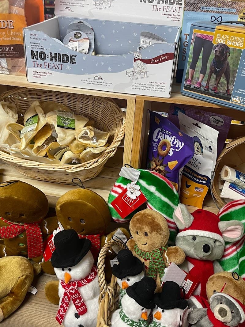 Sully Loves Sugar photo 5