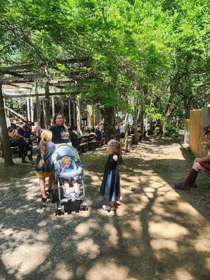 Oklahoma Renaissance Festival photo 4