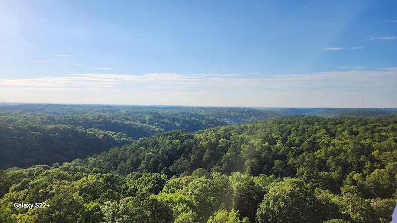 Harley's Tower photo 4