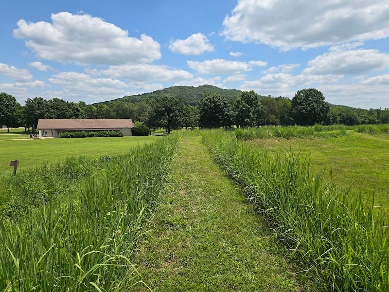 Battle of Pilot Knob State Historic Site photo 4