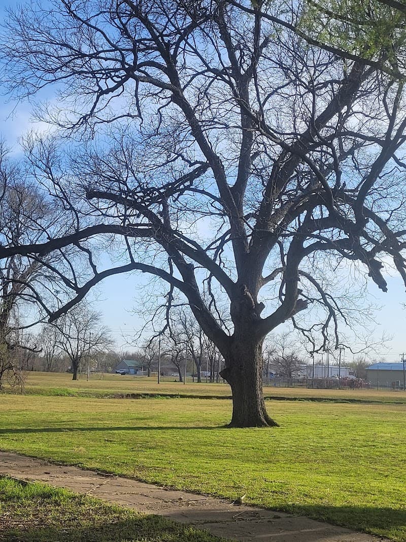 Park On Muskogee Ave photo 5