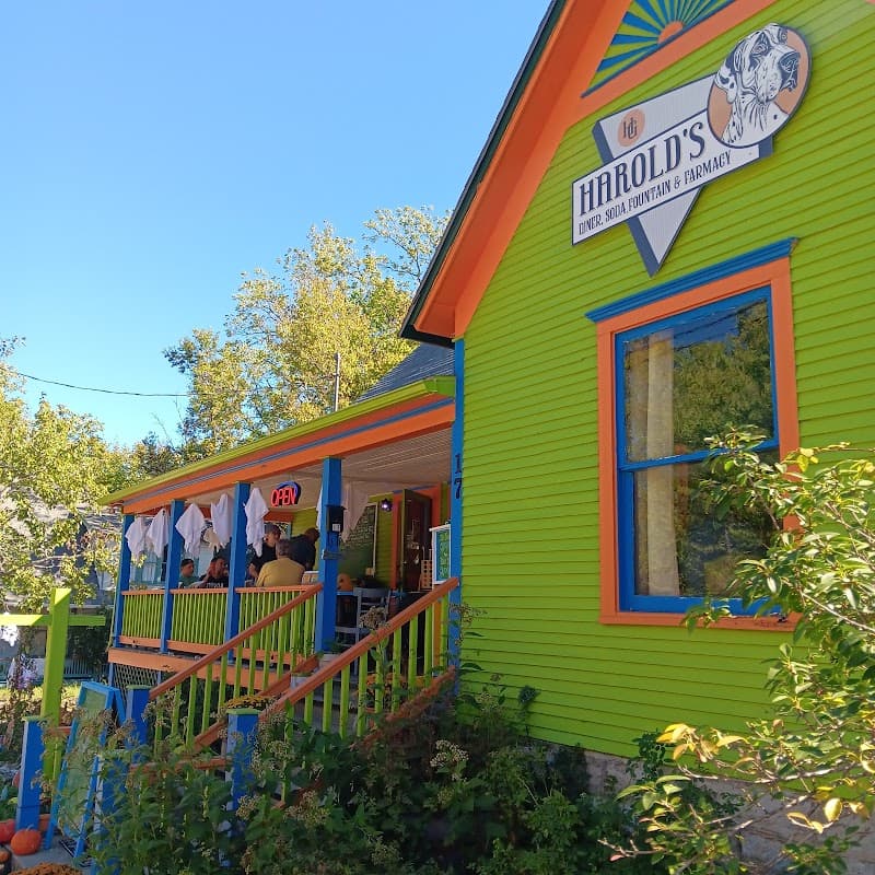 Harold's Diner Soda Fountain & Farmacy photo 1