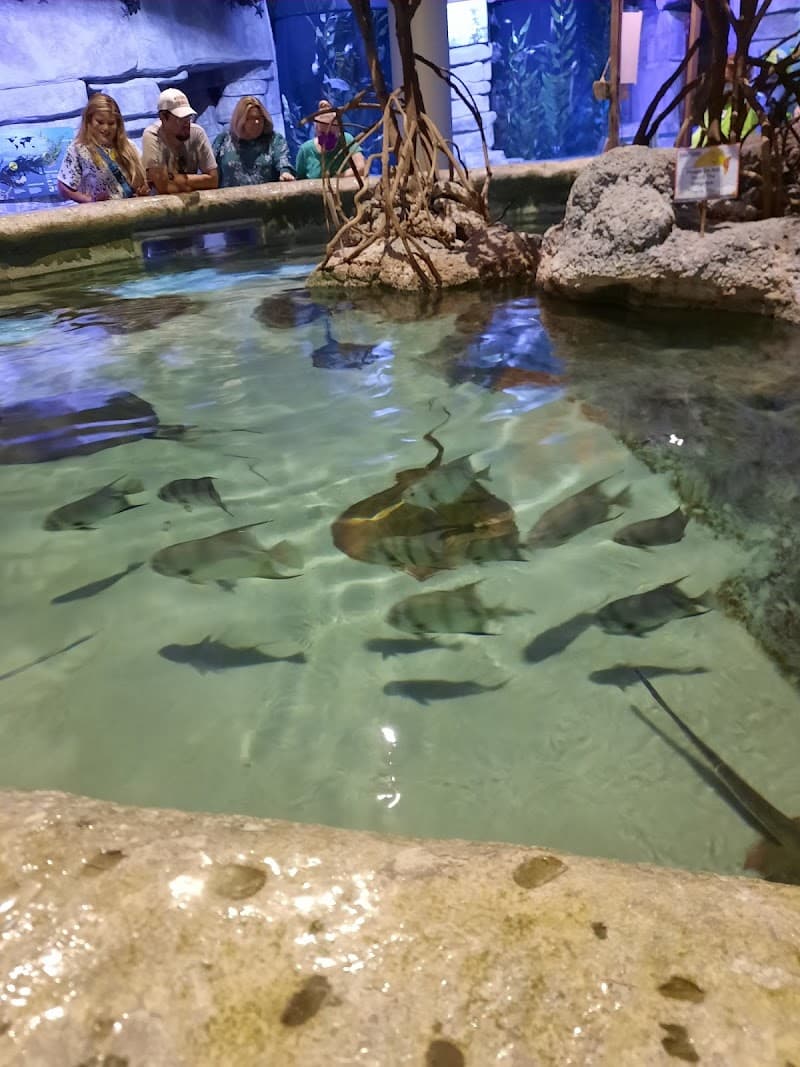Oklahoma Aquarium photo 3