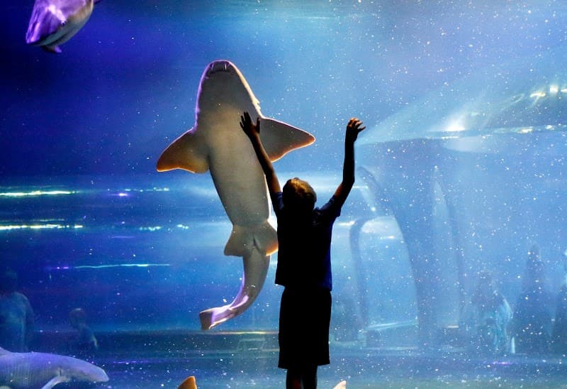 Oklahoma Aquarium photo 1