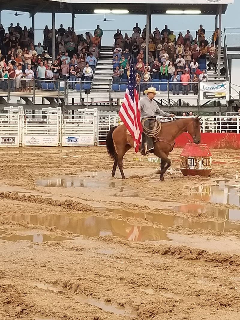 Parsons Stadium photo 5