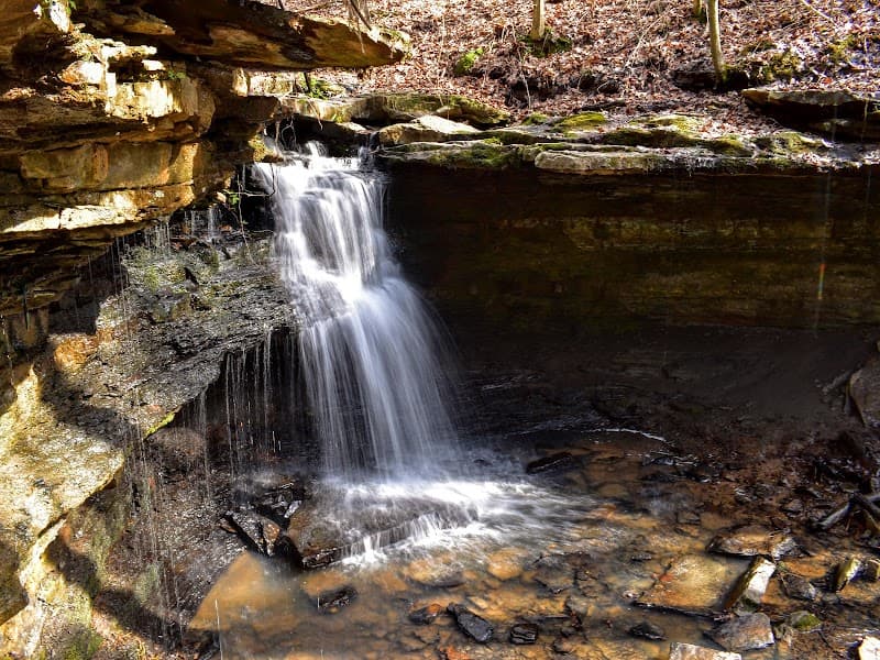 Lake Alma Park photo 5