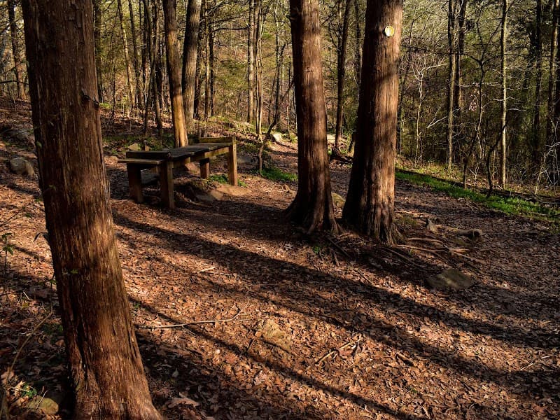 Lake Alma Park photo 1