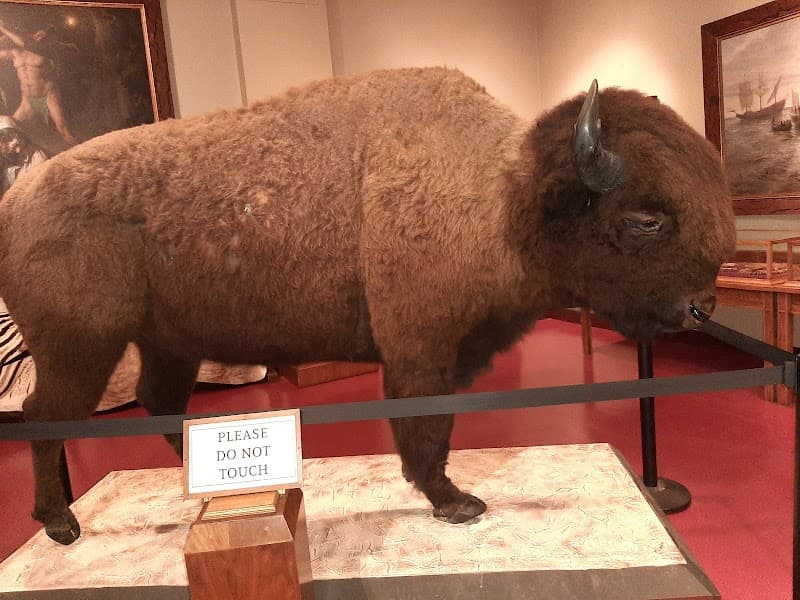 Woolaroc Museum & Wildlife Preserve photo 3