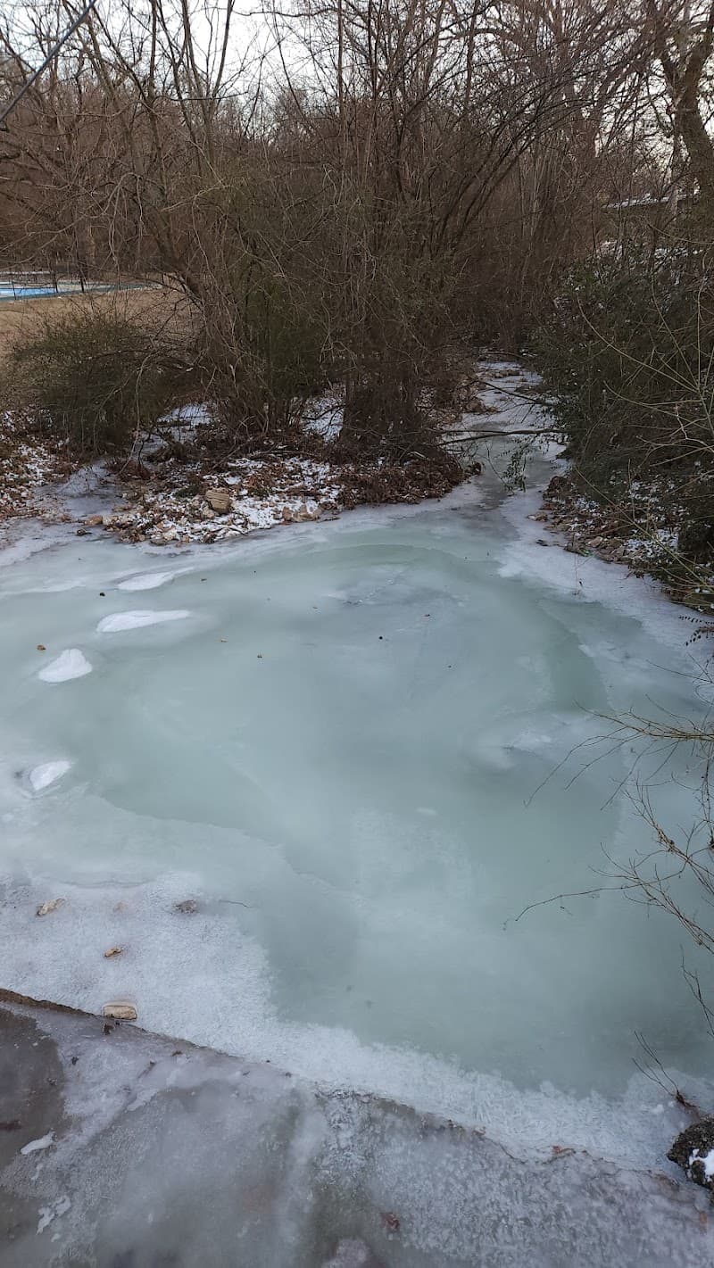 Kaufman Park photo 2