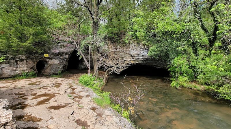 Sequiota Park photo 3