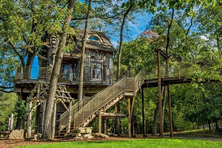 Dogwood Canyon Nature Park photo 6