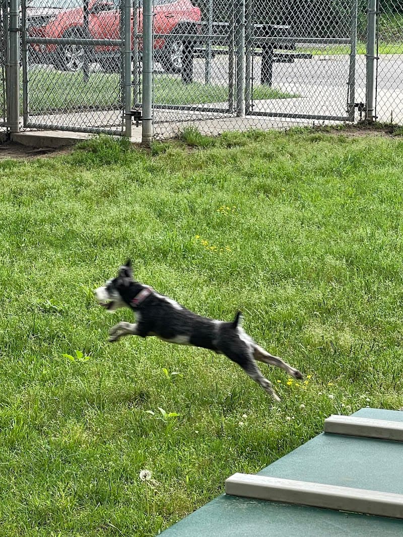 Coody Creek Bark Park photo 5