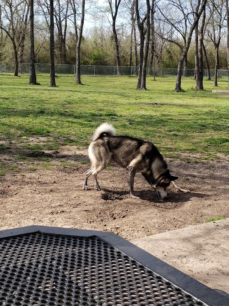 Coody Creek Bark Park photo 6