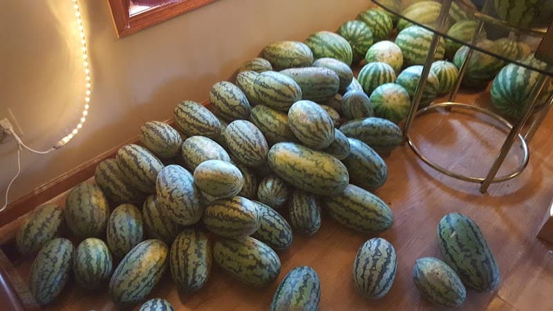 Lewis Family Garden photo 3