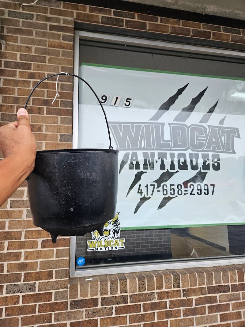 Wildcat Antiques LLC photo 2