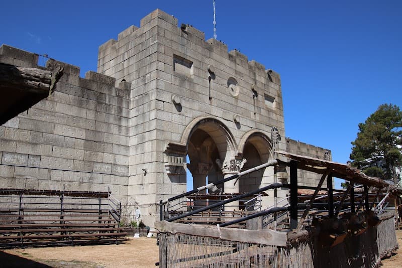 Holy Land Tour photo 4