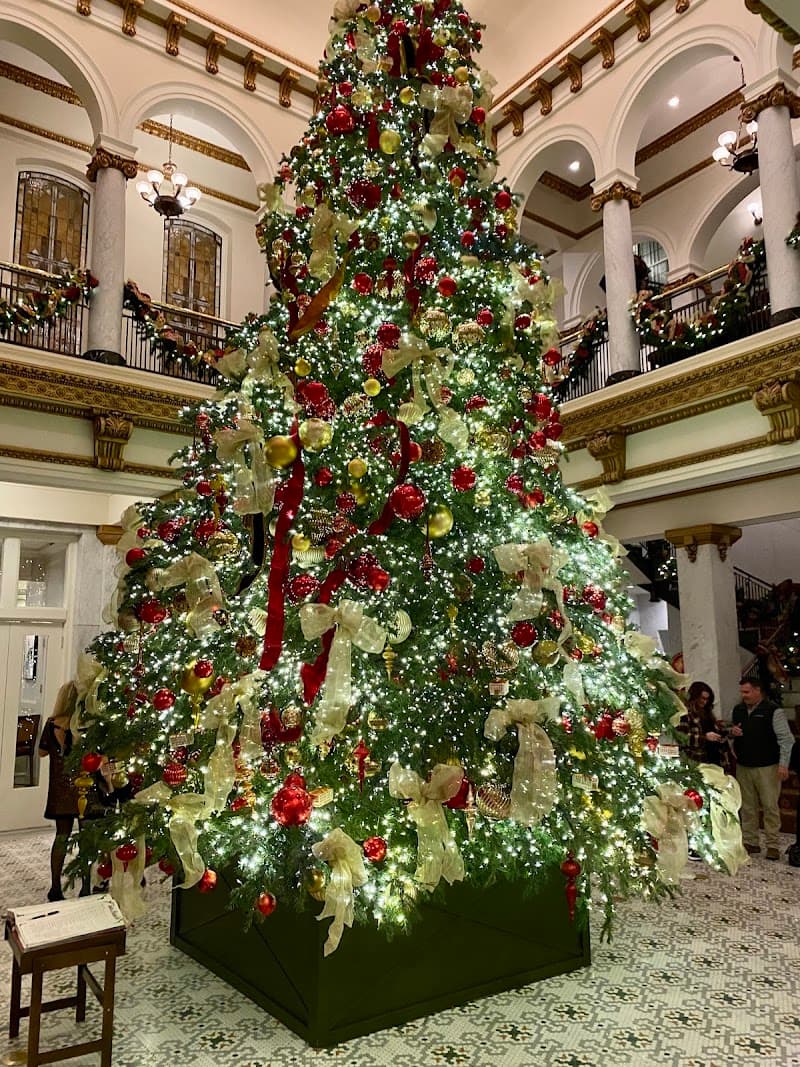 Capital Bar and Grill photo 5