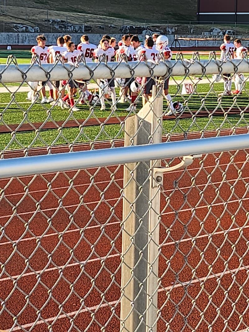 Tiger Stadium photo 5