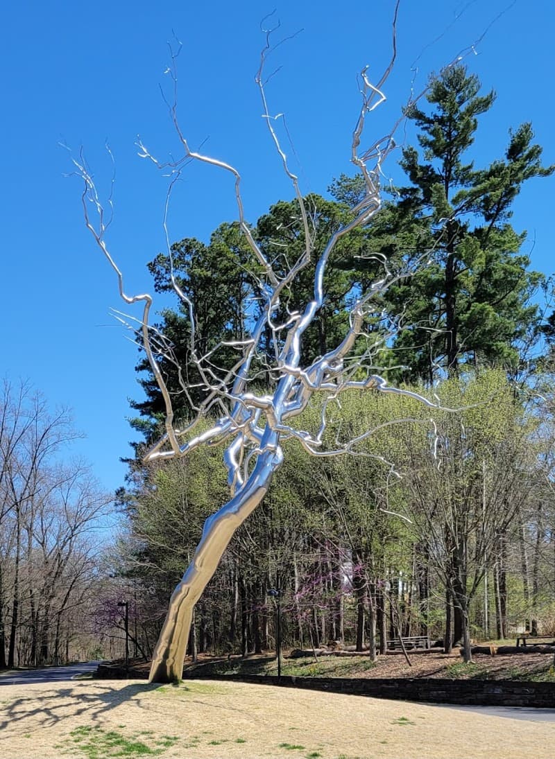 Crystal Bridges Museum of American Art photo 5