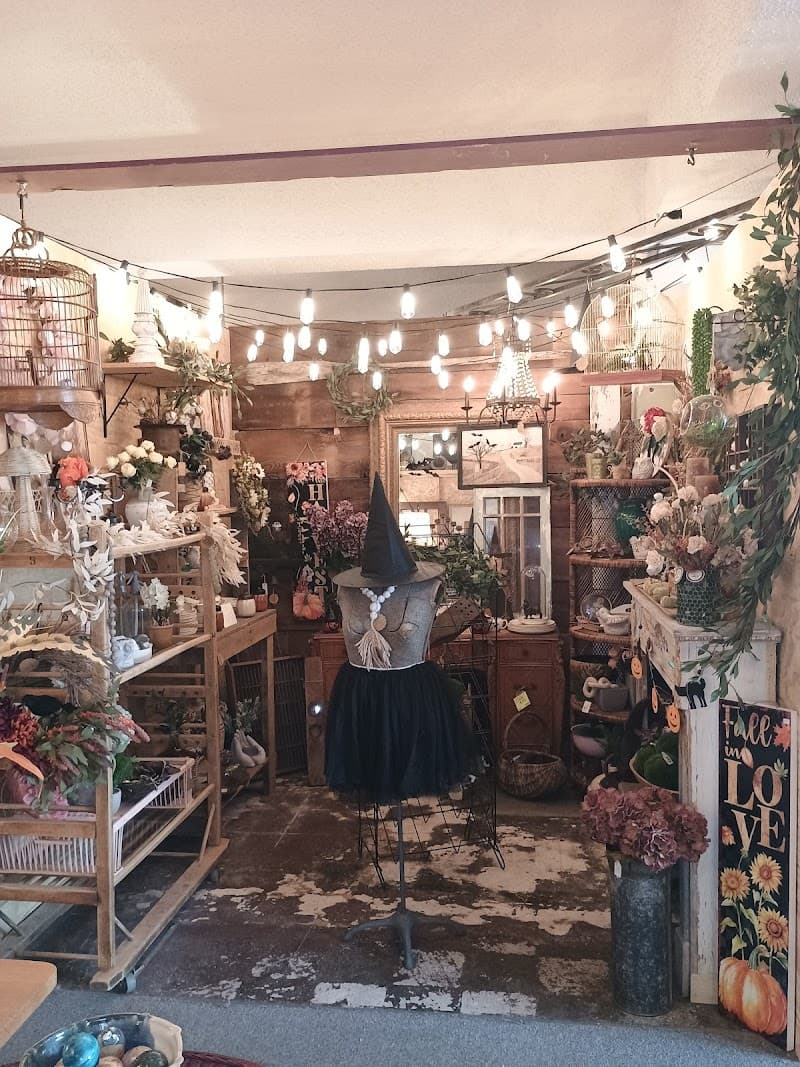 The Cranberry Merchant photo 1