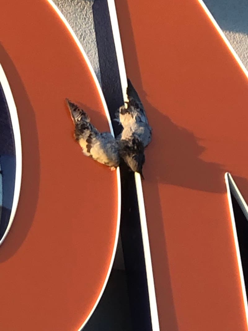 Factory Connection photo 5