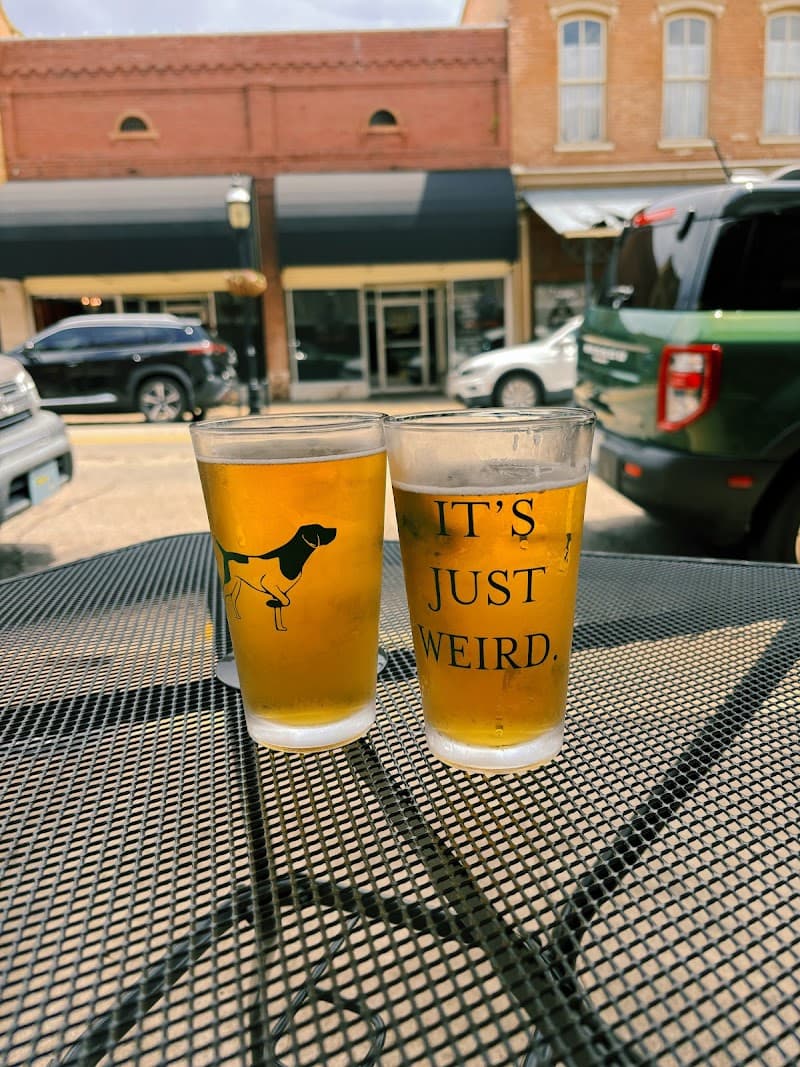 Pointer Brewery photo 5