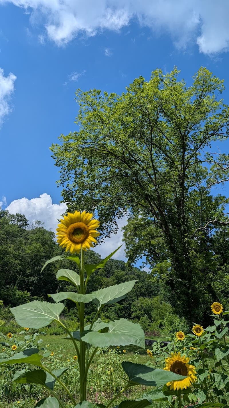 Arkansas Welcome Center at Bentonville / Bella Vista photo 5