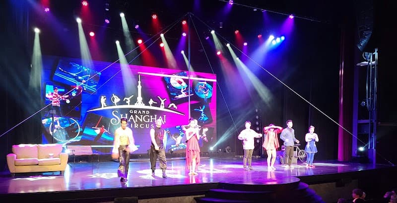 Shanghai Circus photo 5