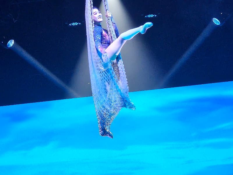 Shanghai Circus photo 1