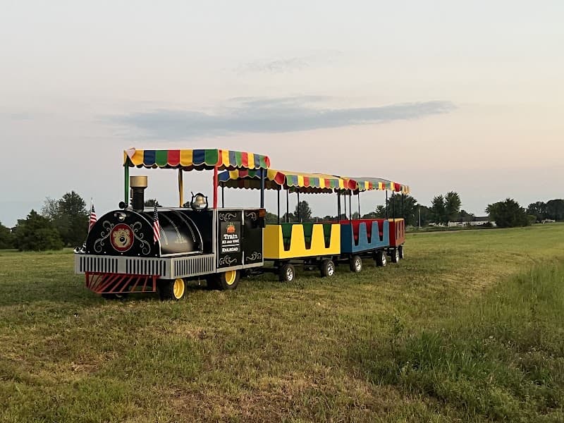 The Pumpkin Patch at 83 and Vine Farm photo 3