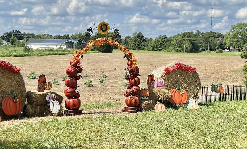 The Pumpkin Patch at 83 and Vine Farm photo 4