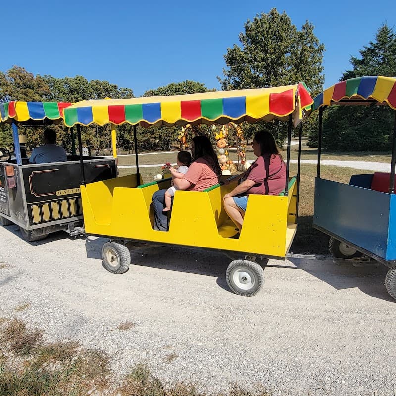 The Pumpkin Patch at 83 and Vine Farm photo 6