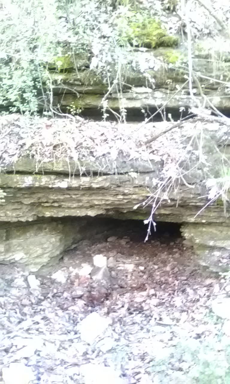 Bear Hollow Cave photo 5
