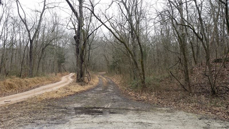 Bear Hollow Cave photo 6