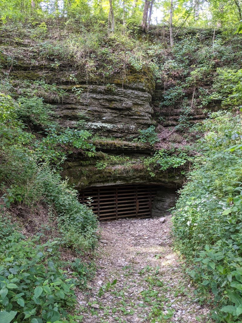 Bear Hollow Cave photo 1