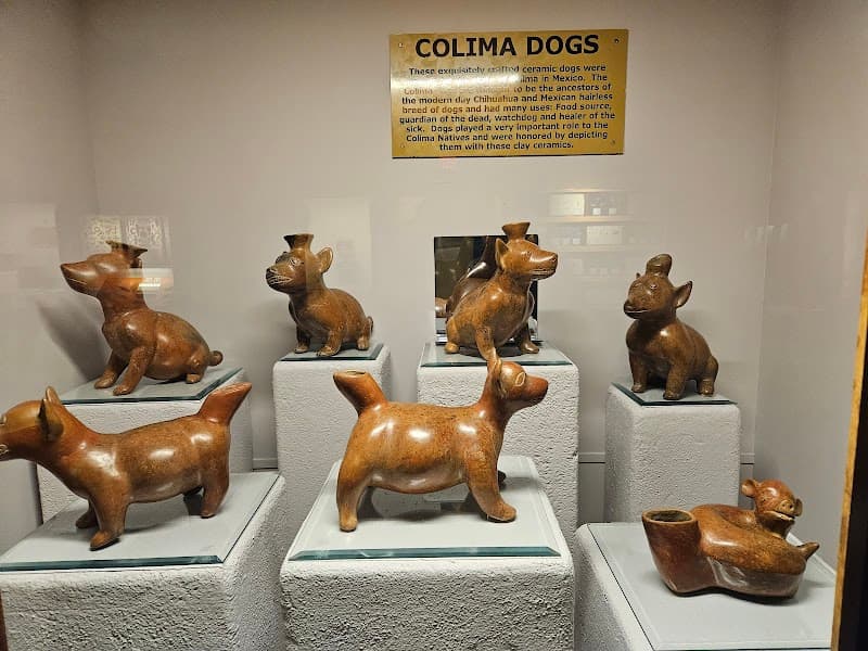 Museum of Native American History photo 6