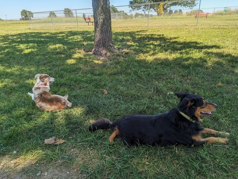 Jeanne’s Park photo 1