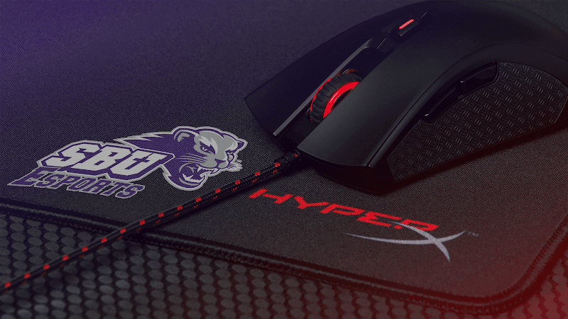 SBU Esports Arena photo 1