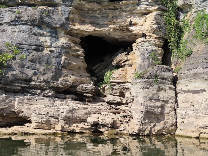 Beyond the Ozarks River Tours - Guided Boat Wildlife Nature Tours on Beaver Lake Northwest Arkansas photo 6