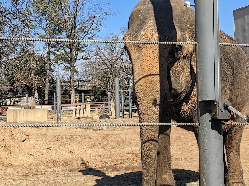 Little Rock Zoo photo 5