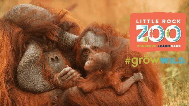 Little Rock Zoo photo 1